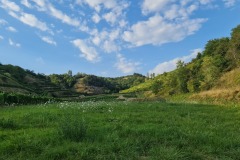 2022-07-30-Graveltour-Honau-Kaiserstuhl-143