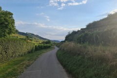 2022-07-30-Graveltour-Honau-Kaiserstuhl-144