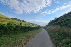 2022-07-30-Graveltour-Honau-Kaiserstuhl-145