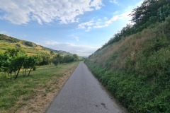 2022-07-30-Graveltour-Honau-Kaiserstuhl-146