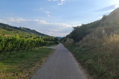 2022-07-30-Graveltour-Honau-Kaiserstuhl-147