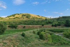 2022-07-30-Graveltour-Honau-Kaiserstuhl-148