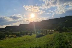 2022-07-30-Graveltour-Honau-Kaiserstuhl-150