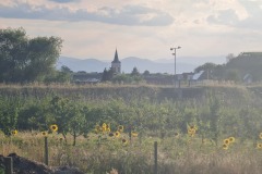 2022-07-30-Graveltour-Honau-Kaiserstuhl-152