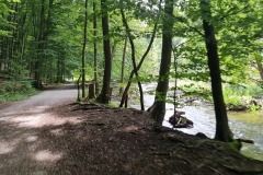 2022-08-07-Gravelbike-Tour-Kloster-Andechs-08