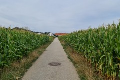 2022-08-07-Gravelbike-Tour-Kloster-Andechs-31