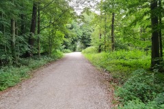 2022-08-07-Gravelbike-Tour-Kloster-Andechs-37