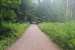 2022-08-07-Gravelbike-Tour-Kloster-Andechs-38