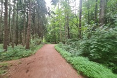 2022-08-07-Gravelbike-Tour-Kloster-Andechs-39