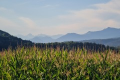 2022-08-13-Gravelbike-Tour-Koenigsee-Salzburg-017