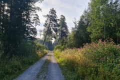 2022-08-13-Gravelbike-Tour-Koenigsee-Salzburg-027