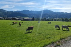 2022-08-13-Gravelbike-Tour-Koenigsee-Salzburg-039