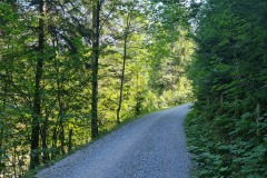 2022-08-13-Gravelbike-Tour-Koenigsee-Salzburg-061