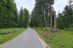 2022-08-13-Gravelbike-Tour-Koenigsee-Salzburg-094
