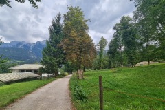 2022-08-13-Gravelbike-Tour-Koenigsee-Salzburg-103