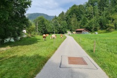 2022-08-13-Gravelbike-Tour-Koenigsee-Salzburg-119