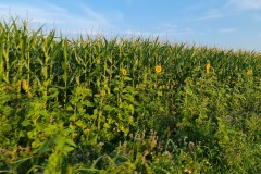 2021-07-30-Gravel-Tour-Muenchner-Norden-10