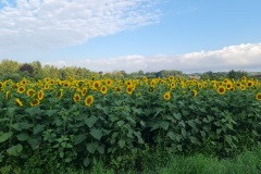 2021-07-30-Gravel-Tour-Muenchner-Norden-13