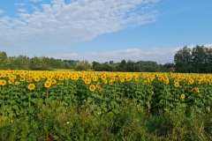 2021-07-30-Gravel-Tour-Muenchner-Norden-15