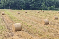 2021-07-30-Gravel-Tour-Muenchner-Norden-20