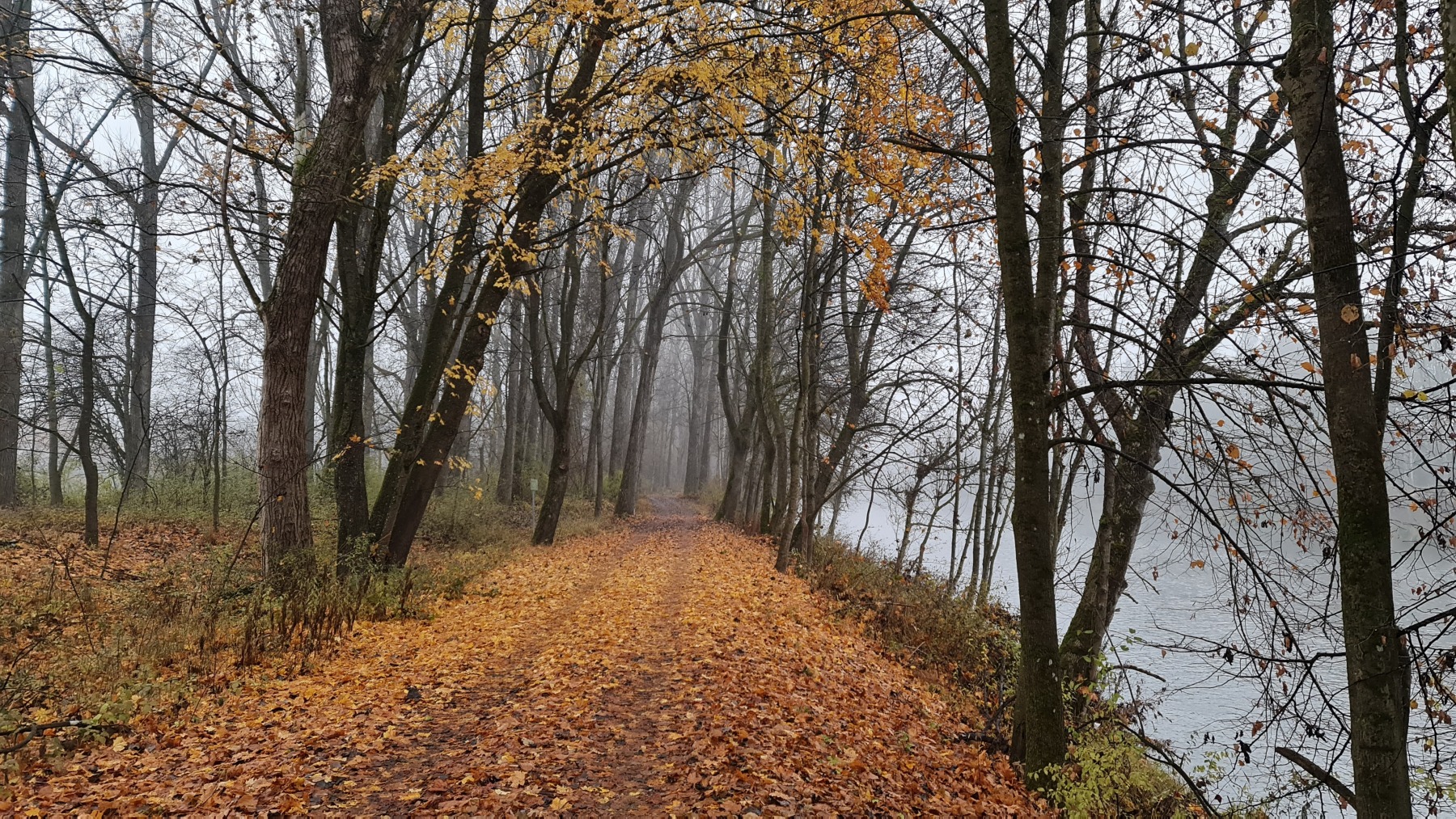 Gravelbike Tour im Münchner Norden mit reichlich Nebel