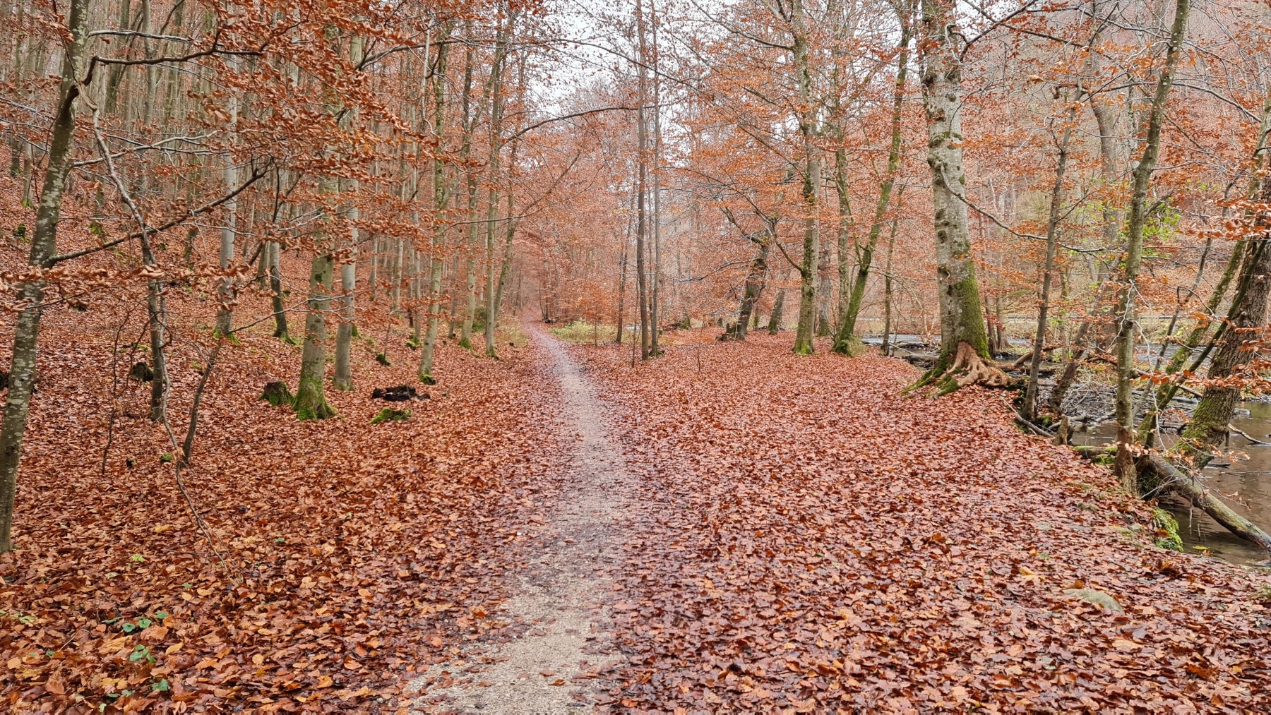 Herbstliche Gravelbike Tour rund um den Ammersee