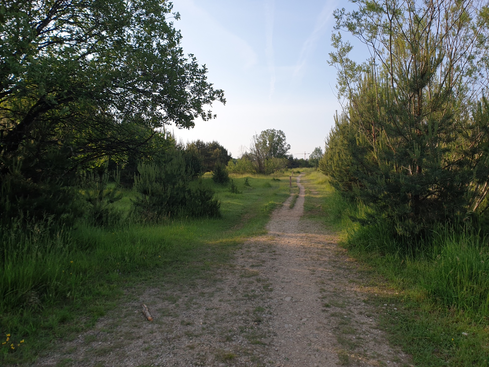 Graveltour nach Freising, Mariabrunn und zur Olympia Regattastrecke