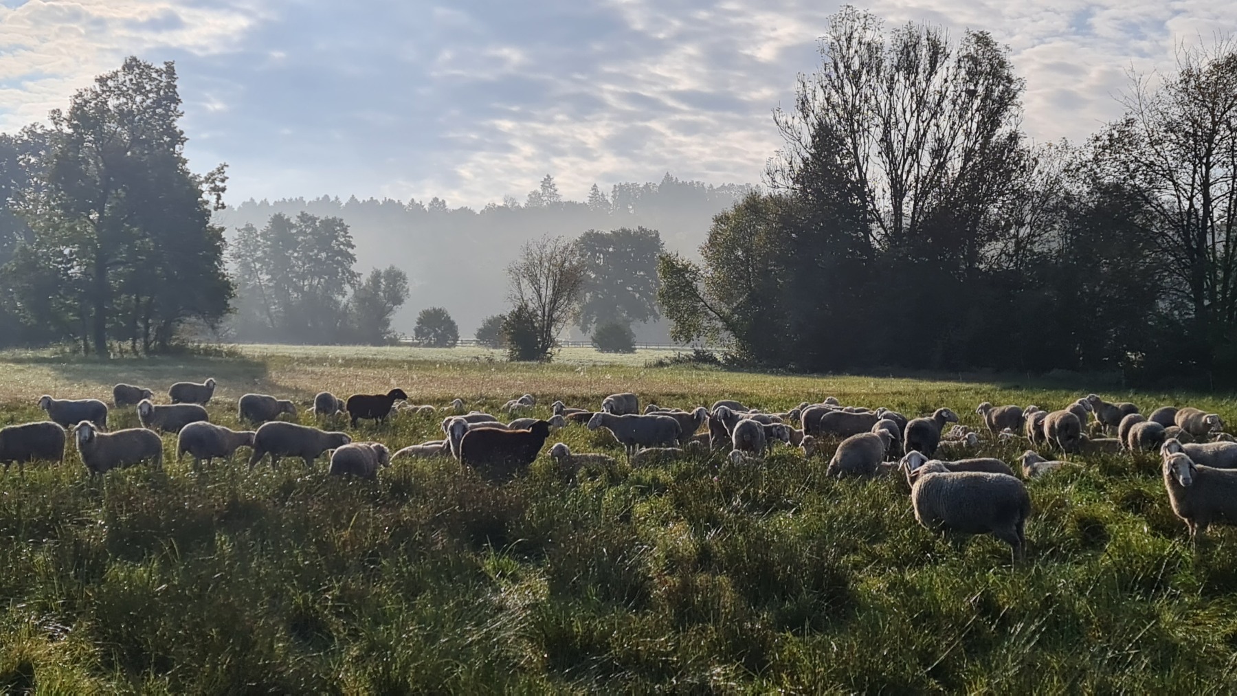 Gravelbike Tour von München zum Chiemsee und zurück