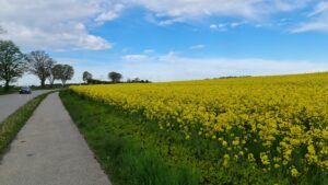 Gravelbike Tour zum Lech und nach Augsburg