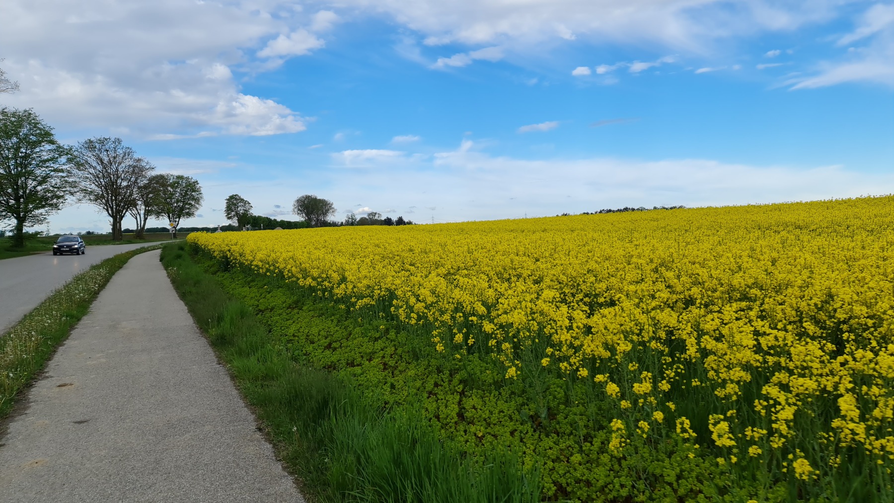 Gravelbike Tour zum Lech und nach Augsburg