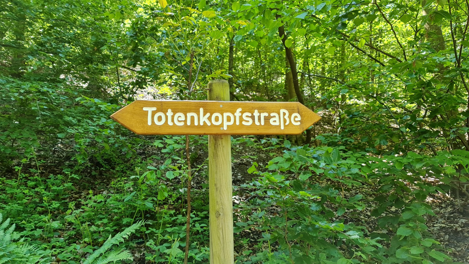 Wanderung zum Totenkopf im Kaiserstuhl