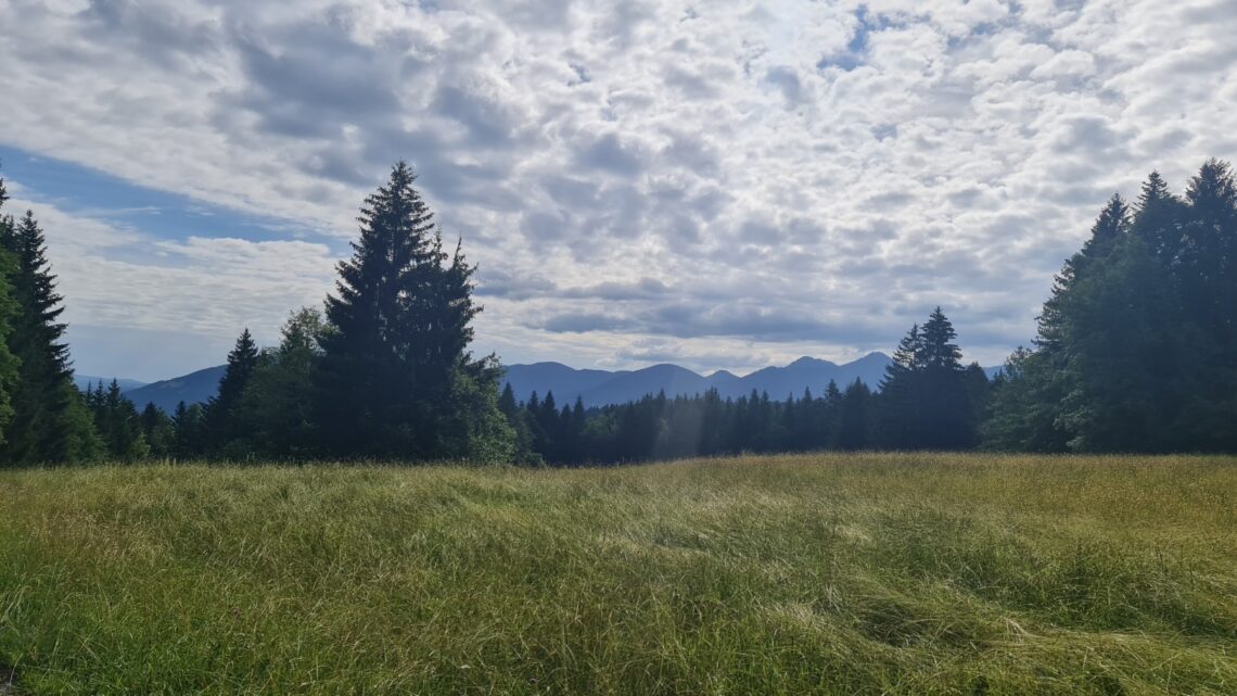 Graveltour auf die Alm