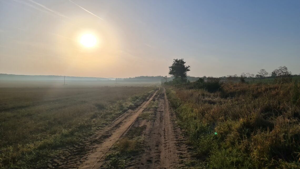 Graveltour zum Schloss Ozora