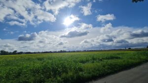 Graveltour zum Schloss Hohenkammer