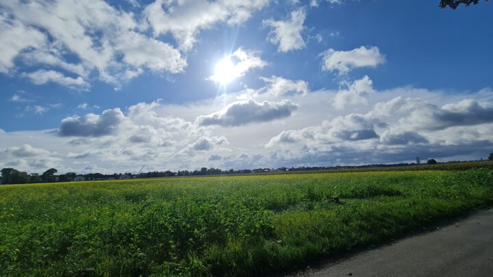 Graveltour zum Schloss Hohenkammer