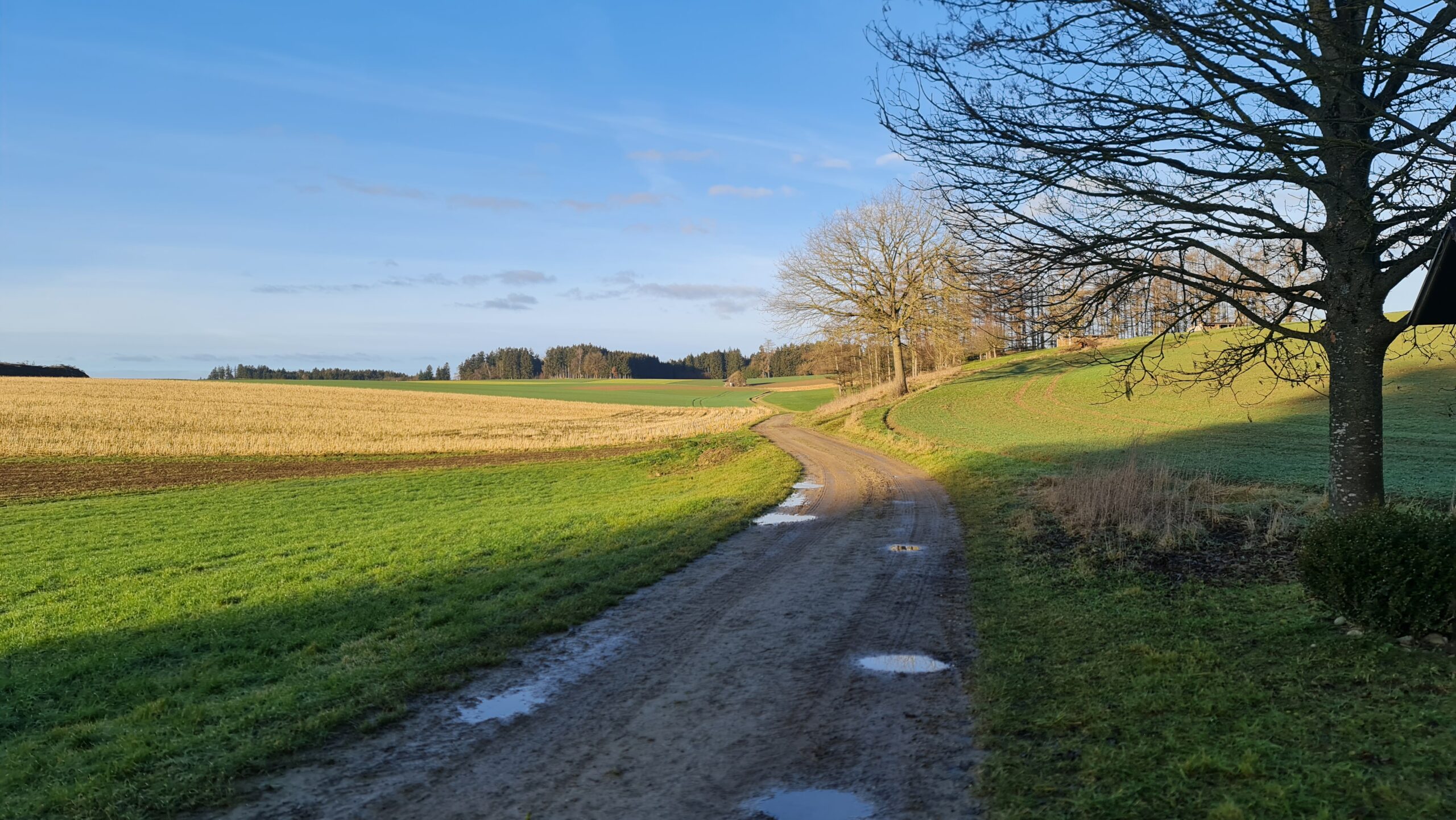 Graveltour im Dachauer Hinterland » Tour, Grad, Heute, Fotos, Infos, Weitere » Gravelbiken & Wandern