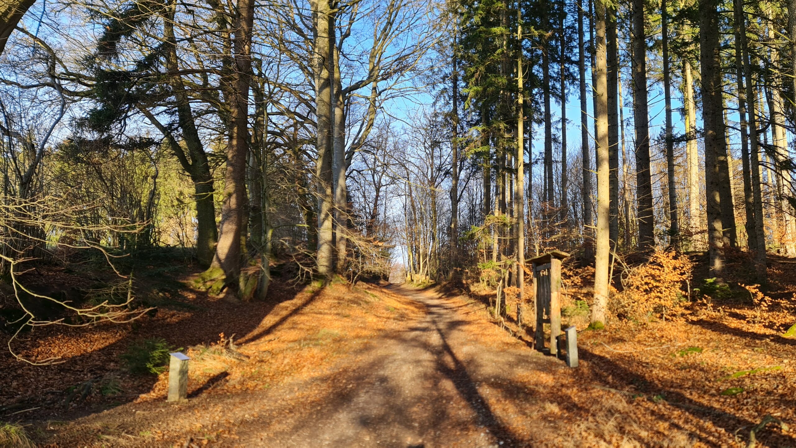 Graveltour im Dachauer Hinterland » Tour, Grad, Heute, Fotos, Infos, Weitere » Gravelbiken & Wandern