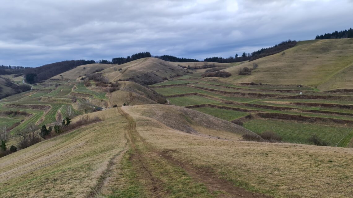 20km Wanderung am, im und auf dem Kaiserstuhl