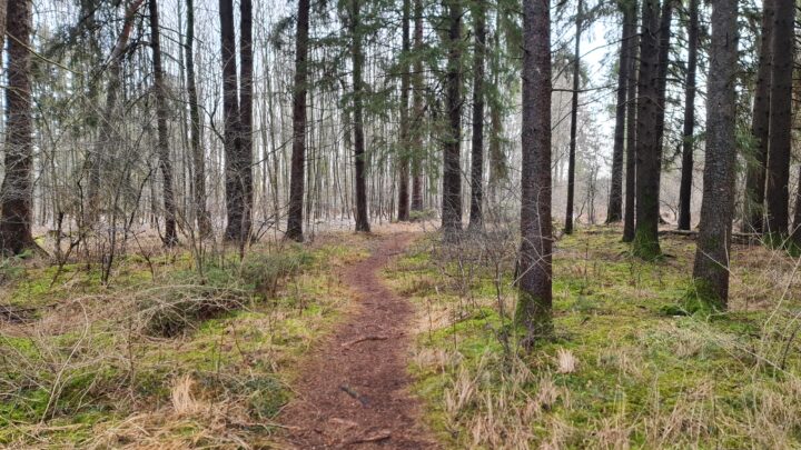 Wanderung über ca. 22 km im Nordwesten von München