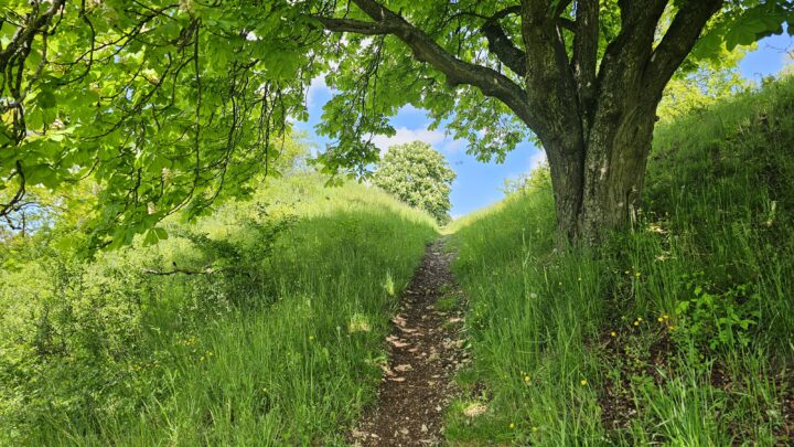 Vatertagswanderung im Altmühltal