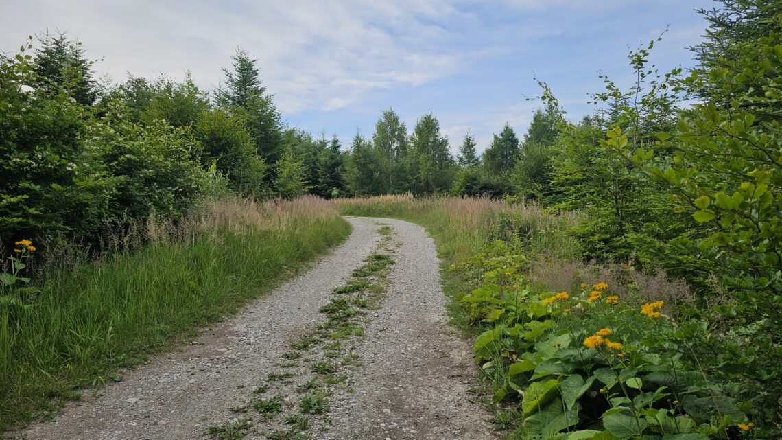 Eine genussvolle Graveltour um den Starnberger See