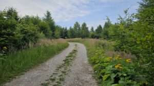Eine genussvolle Graveltour um den Starnberger See
