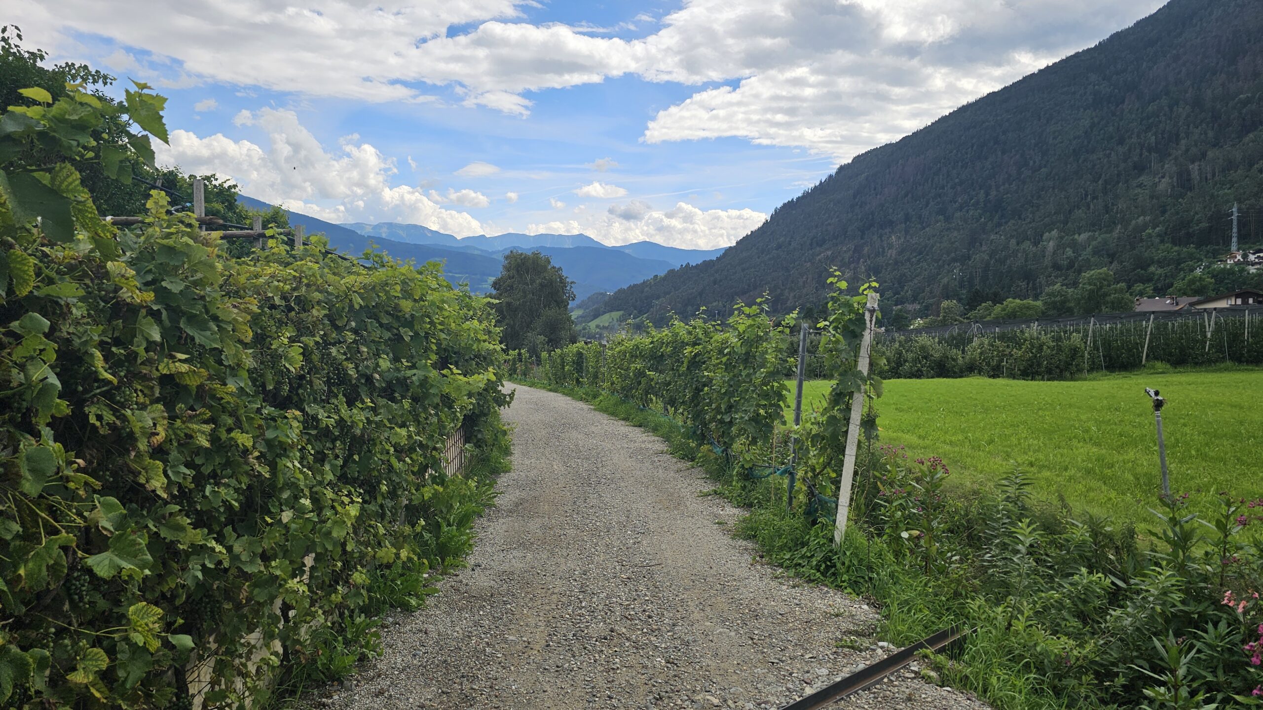 Schotterweg zwischen Hecken und Wiesen im Eisacktal