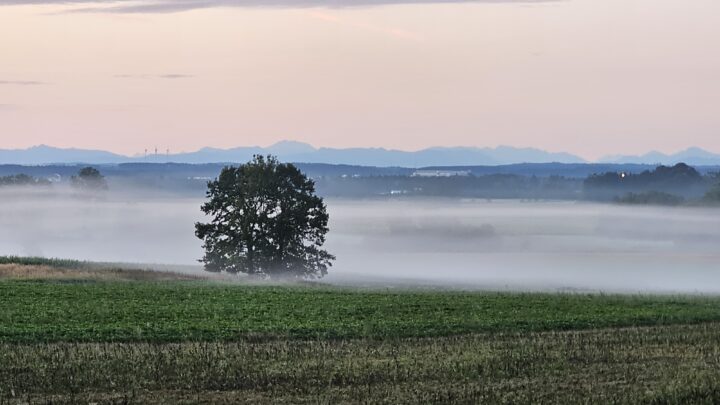 Frühmorgendliche Graveltour ins Unbekannte: Von München ins Allgäu