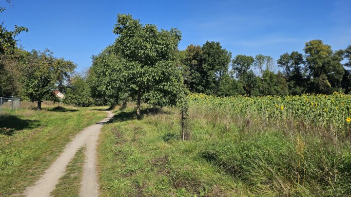 Graveltour von Nürnberg nach Coburg – Tag 2 von 3