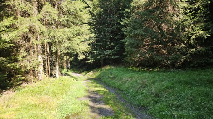 Gravelbike Mehrtagestour von München nach Erfurt