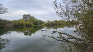 Morgendliche Graveltour: Von München bis zur Ammermündung