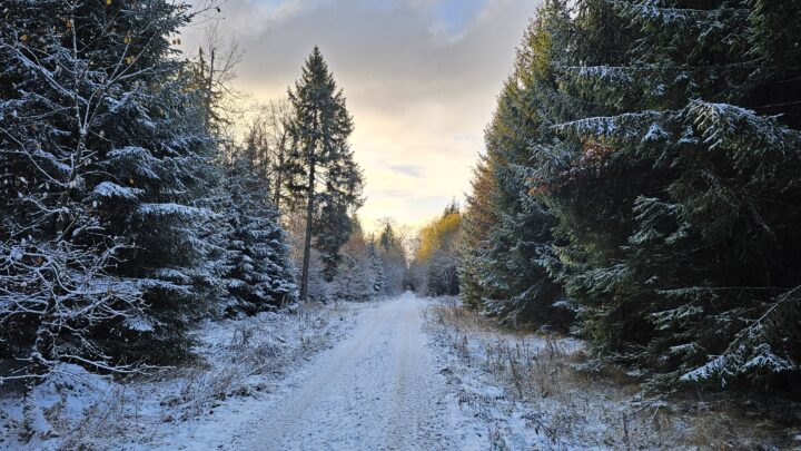 Graveltour ins Winter Wonderland