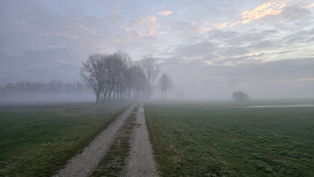 Feldweg zu einer Baumgruppe im dichten Nebel auf dem Weg nach Augsburg