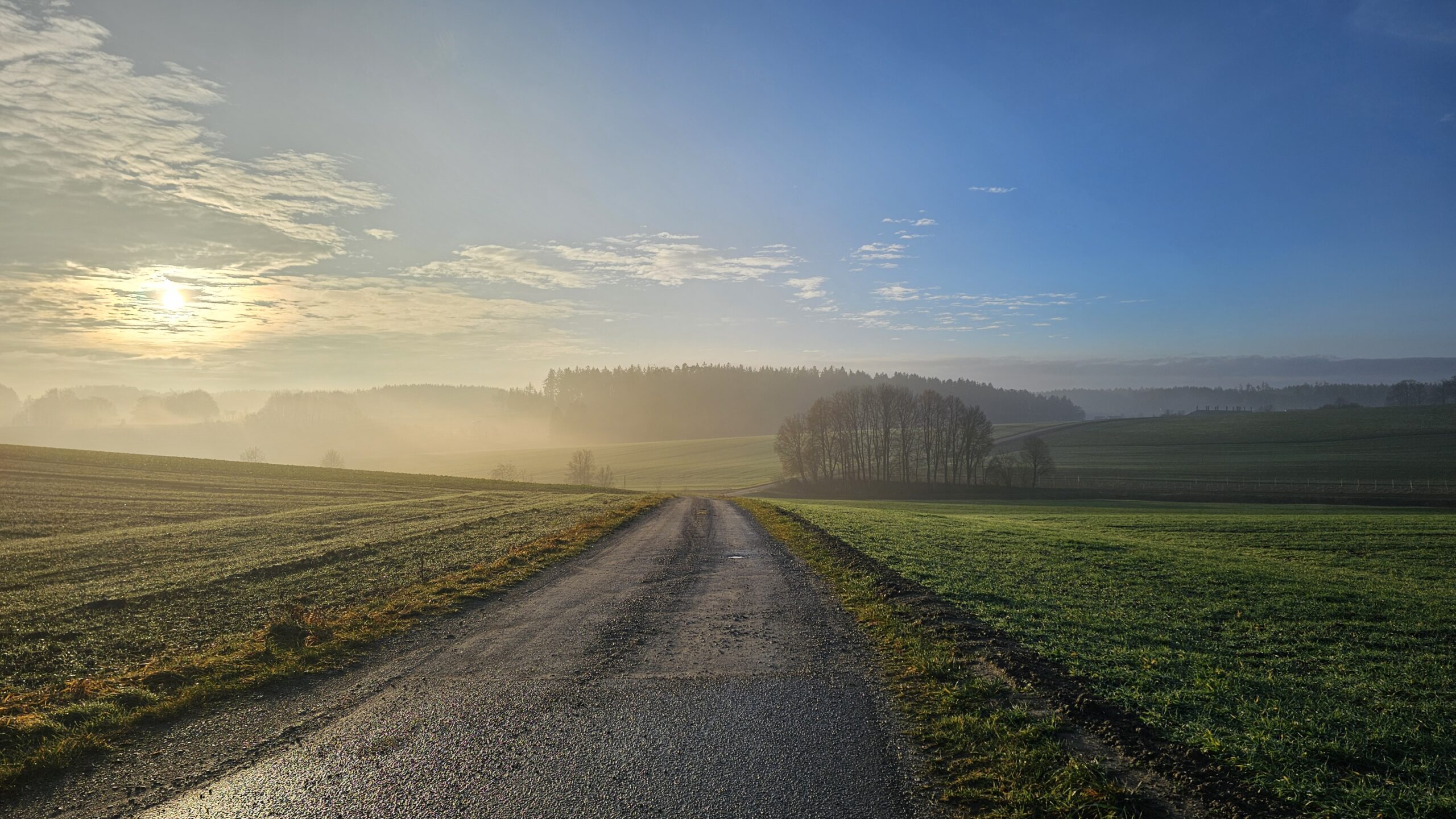 Schotterweg durch Felder im Gegenlicht über Nebelschwaden